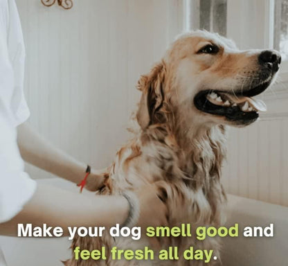 Anti-Itch Dog Shampoo-Ditch to Itch 300ml Pack of 2